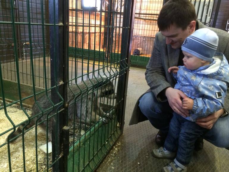 Национальный конный парк Русь