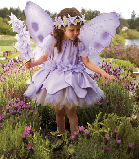 владельцы костюмов фей для детей?