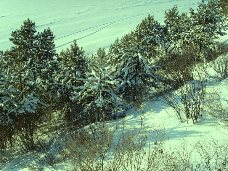 Томская Писаница! что соскучилась я по ней... (утомительный пост)