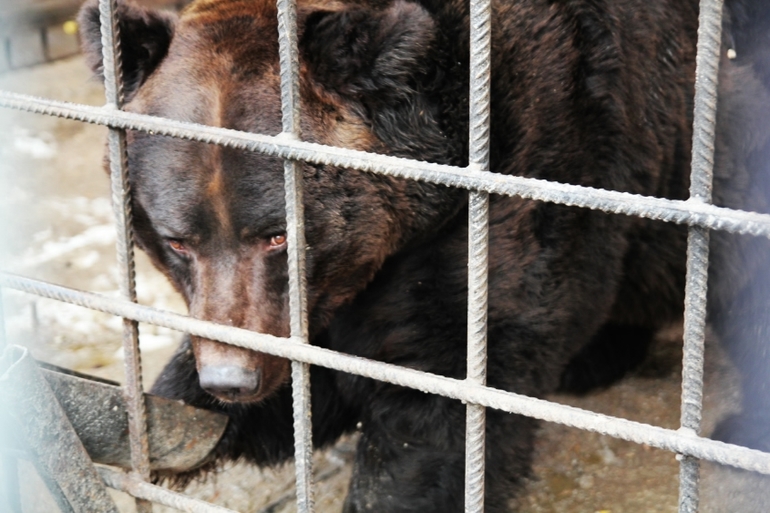Томская Писаница! что соскучилась я по ней... (утомительный пост)