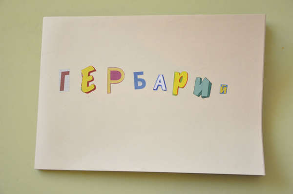 Поделки из вертолетиков Поделки из вертолетиков