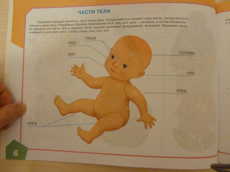 А началось все с курочки рябы;)