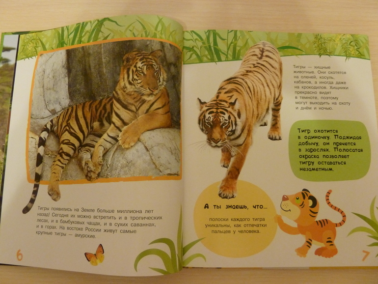 А началось все с курочки рябы;)