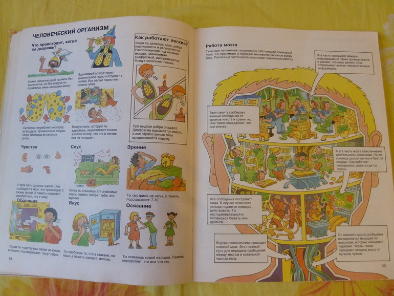 Назад в прошлое...