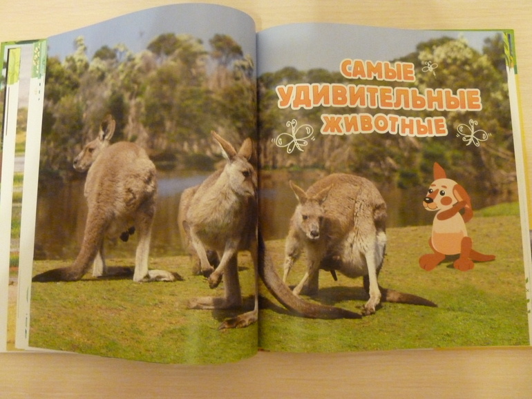 А началось все с курочки рябы;)