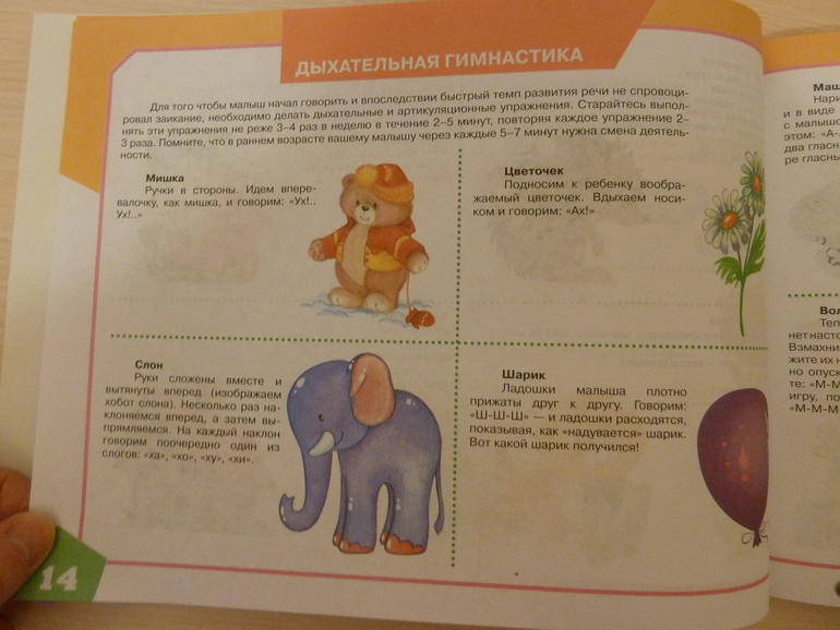 А началось все с курочки рябы;)