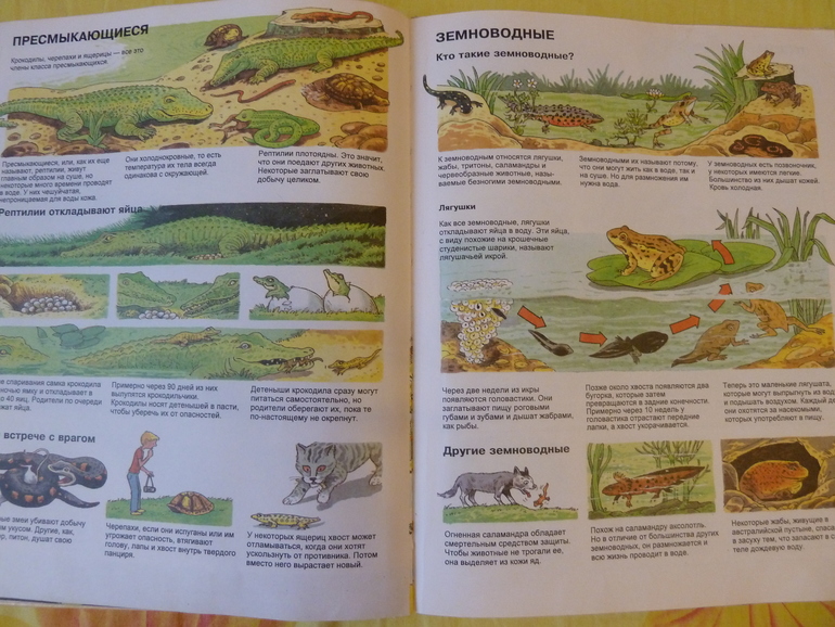 Назад в прошлое...