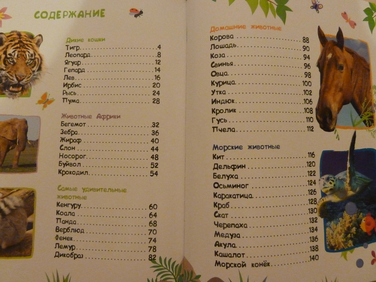 А началось все с курочки рябы;)