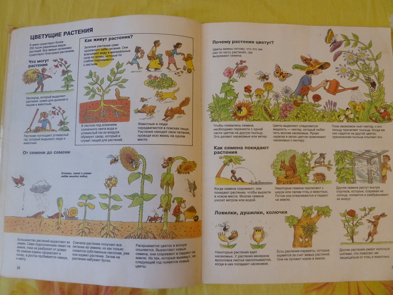 Назад в прошлое...