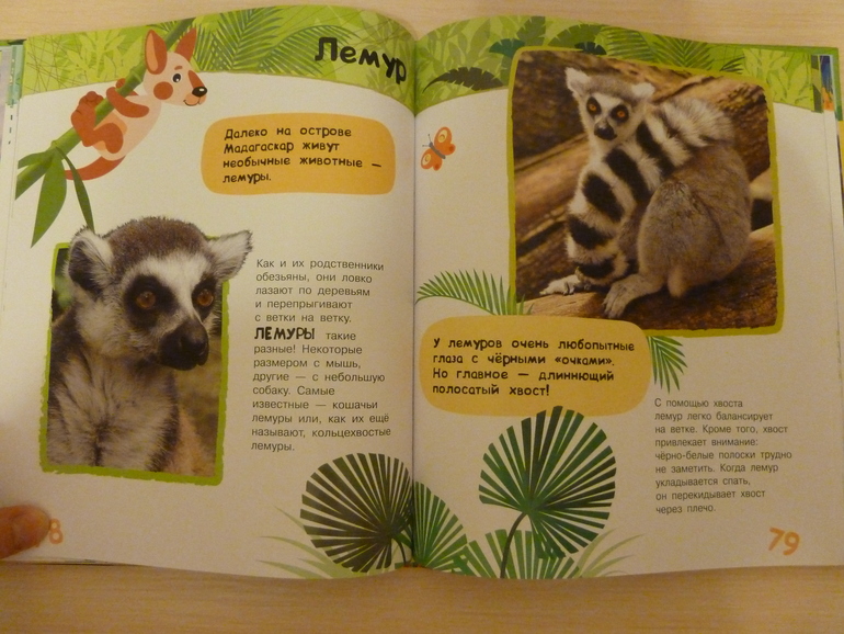 А началось все с курочки рябы;)