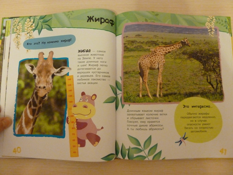 А началось все с курочки рябы;)