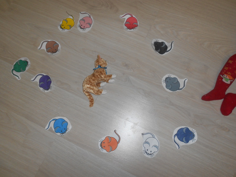 Отчет по тн