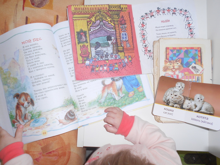 Заключительный день фм