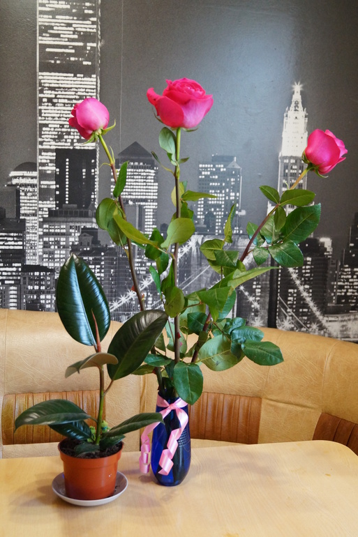 Забрали вчера мы своих кнопиков)))))