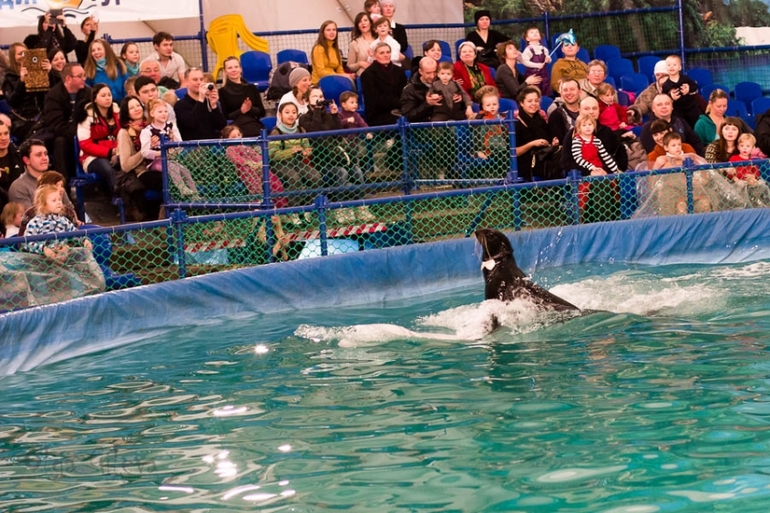 Морское в Екатеринбурге.