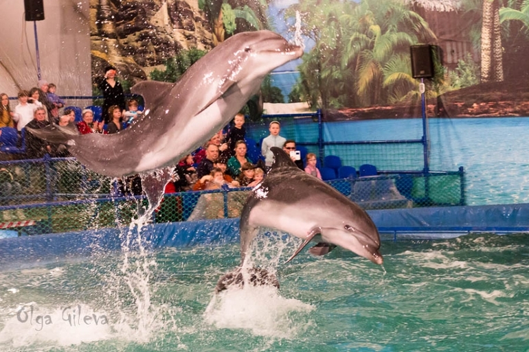 Морское в Екатеринбурге.