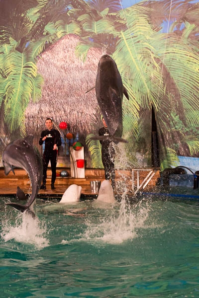 Морское в Екатеринбурге.