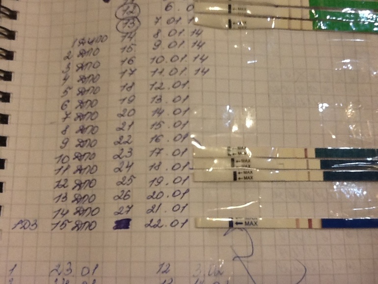 1 дз, 15 дпо, 28 дц