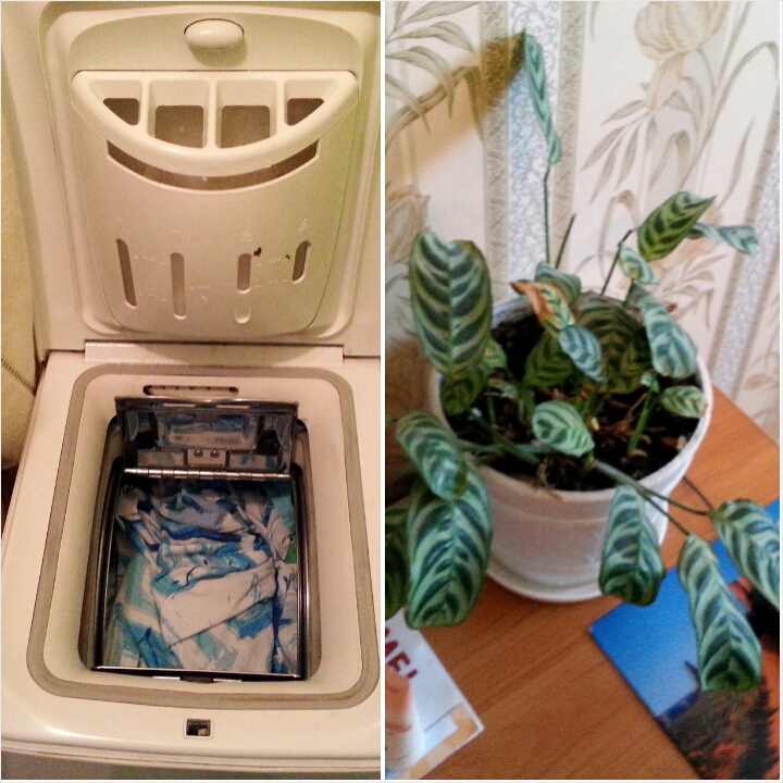 взлет 69 - день 28