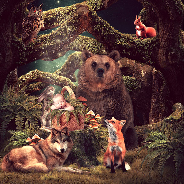 "Once in the forest" by Adika designs...