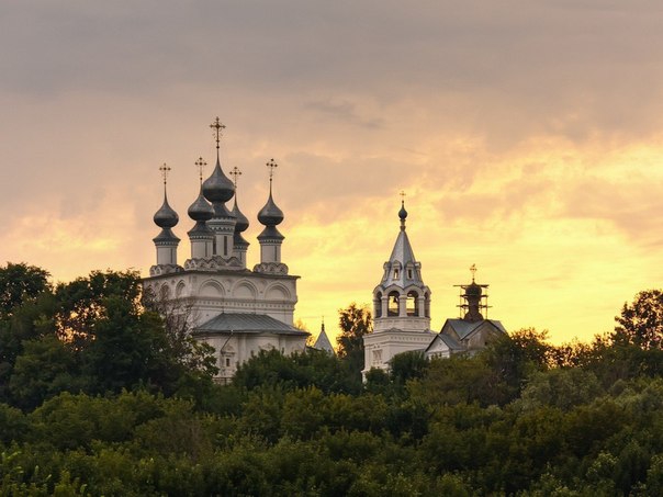 Рассказы г остера читать