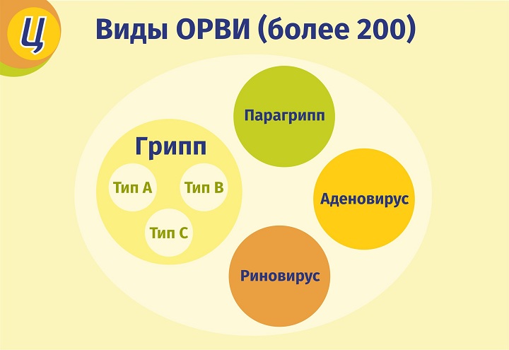 Найти региональные стандарты и рассказать что в них входит компьютер