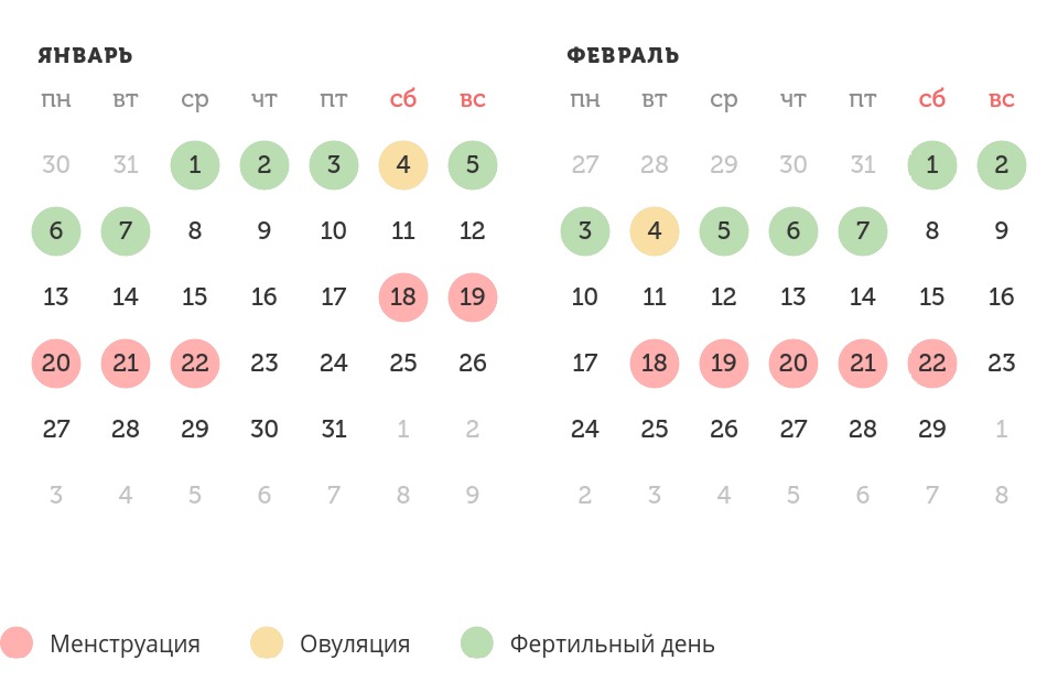 Калькулятор овуляции
