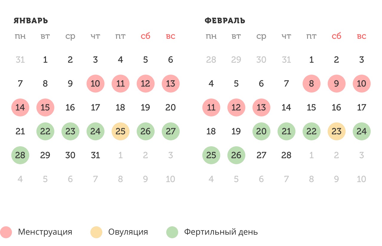 Калькулятор овуляции