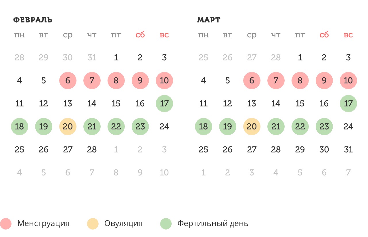 Калькулятор овуляции