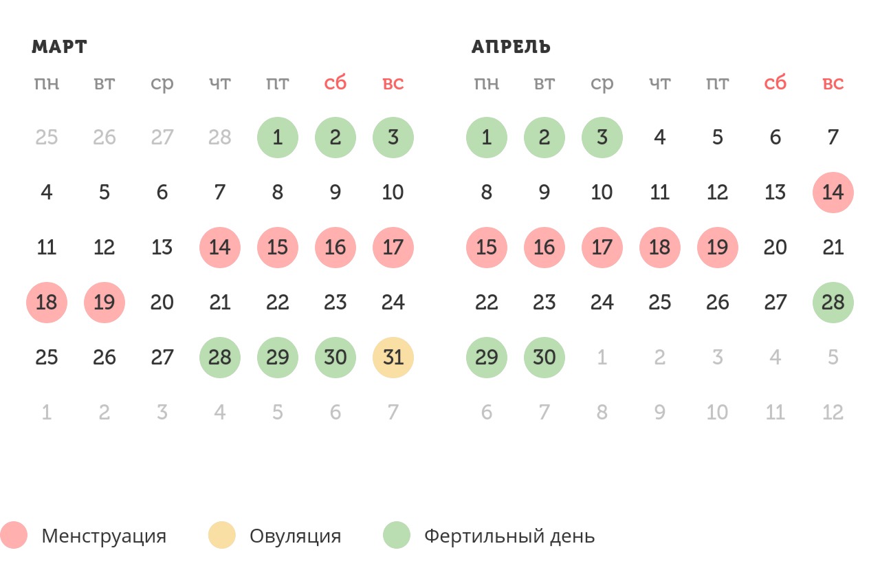 Калькулятор овуляции