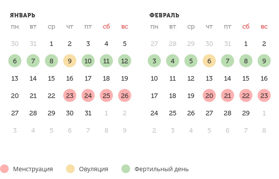 Калькулятор овуляции