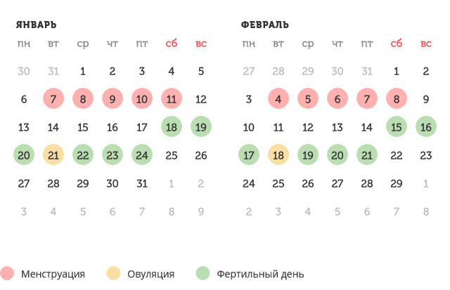 Калькулятор овуляции