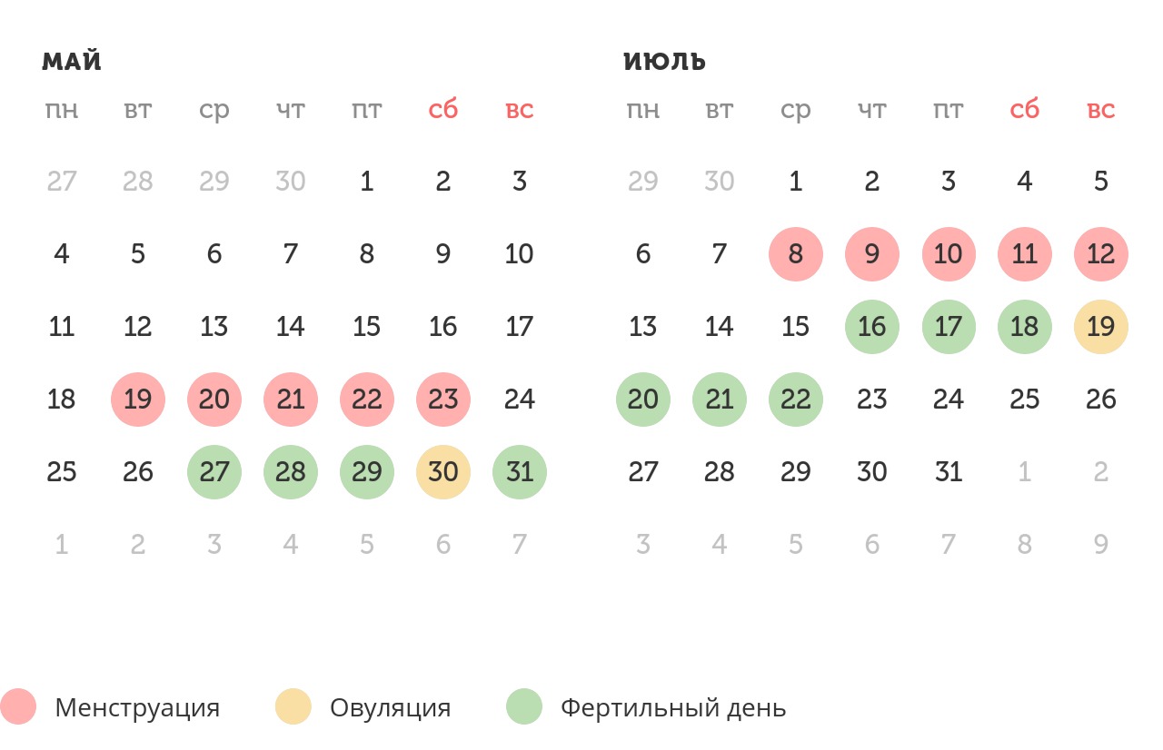 Калькулятор овуляции