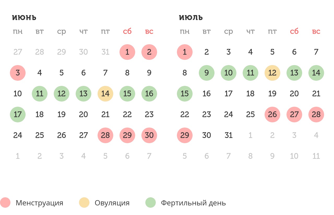 Калькулятор овуляции