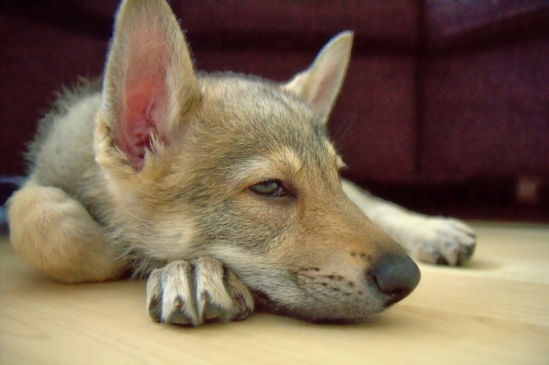 Растет моя принцесса :)