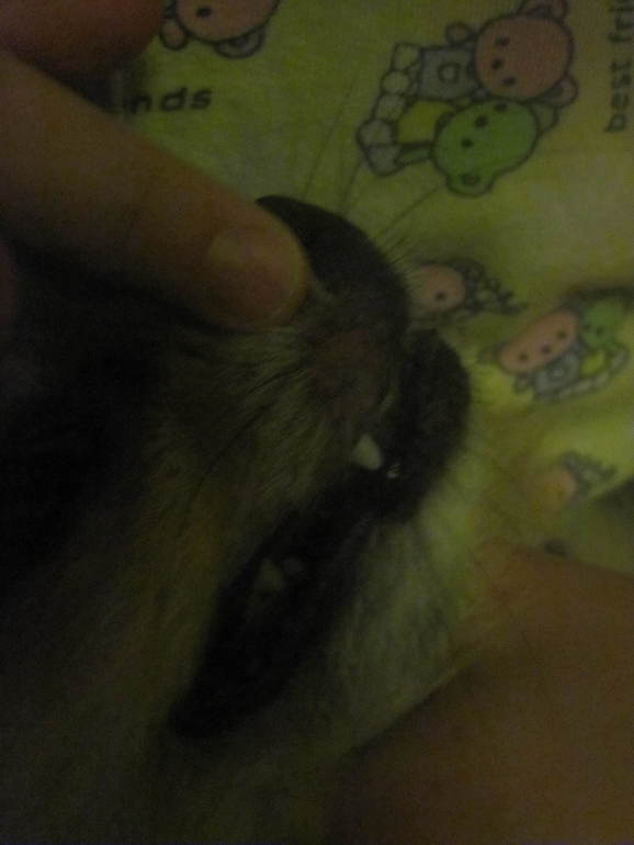 Что это с Афом?