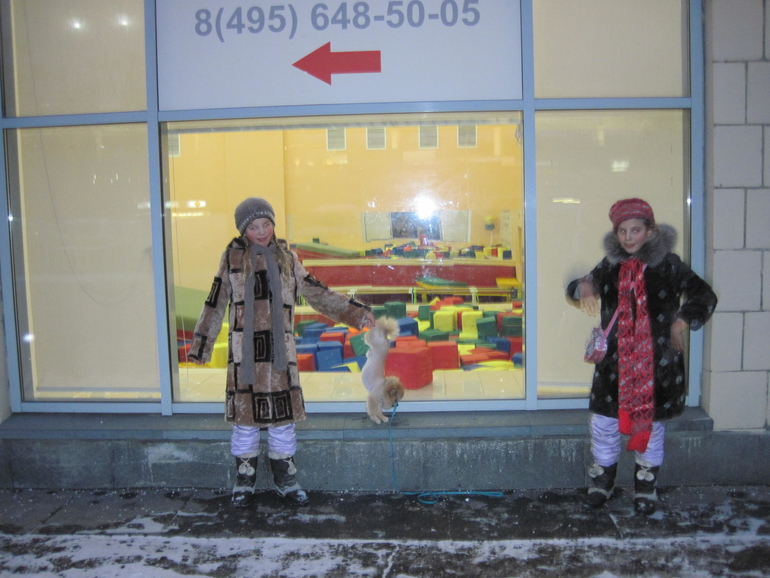 Запиши свое животное в спорт секцию!