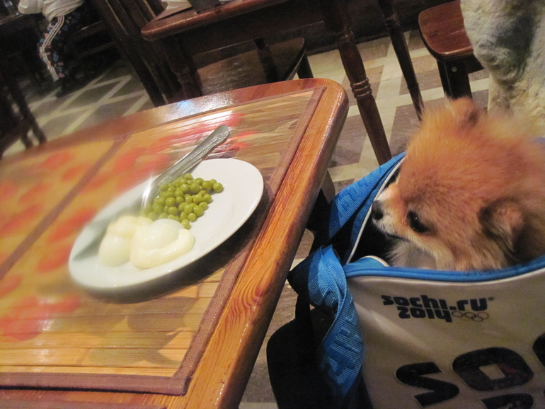 Афы в Лужниках.)