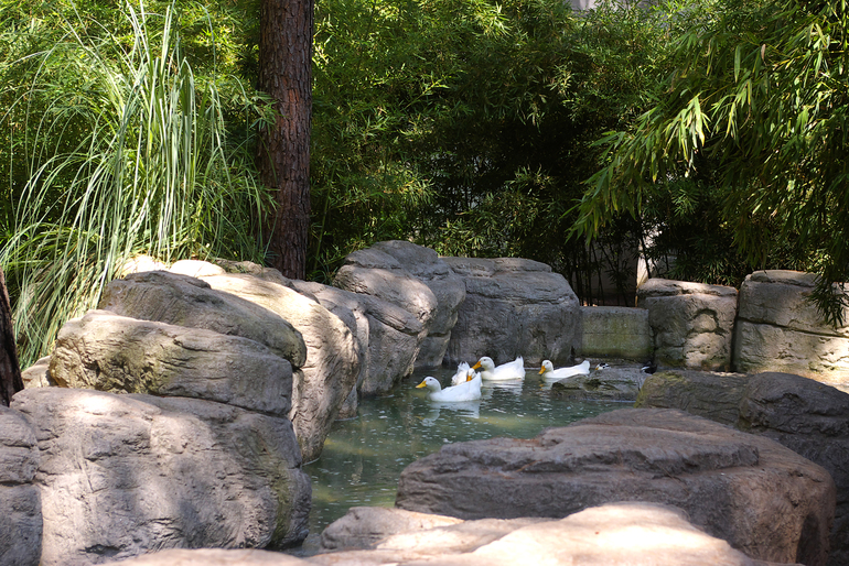 Турция, август-сентябрь 2013 г.