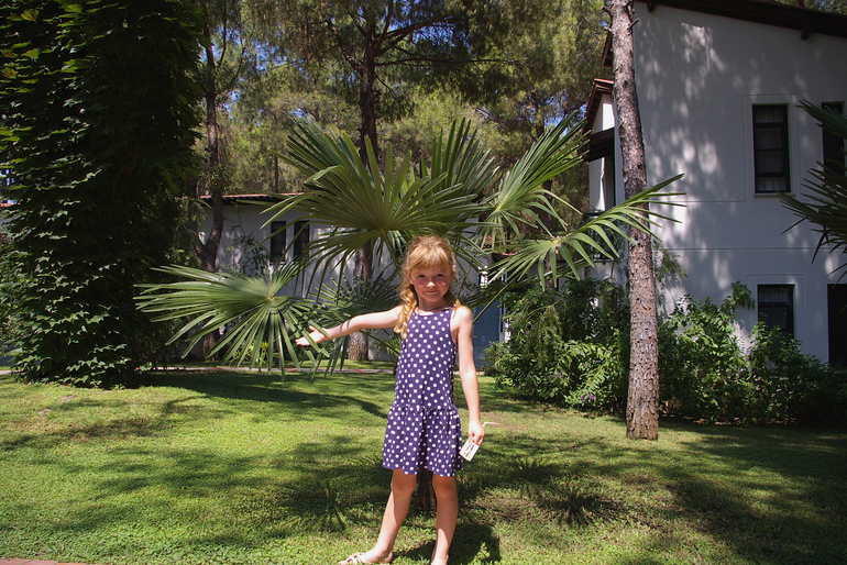 Турция, август-сентябрь 2013 г.