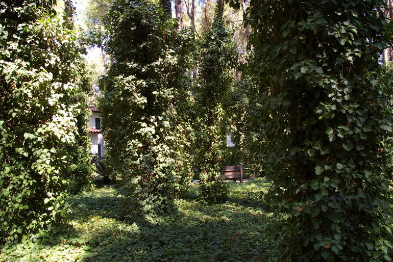 Турция, август-сентябрь 2013 г.