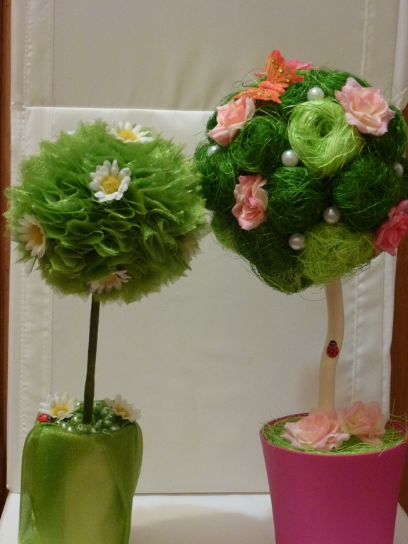 Мои первые топиарии