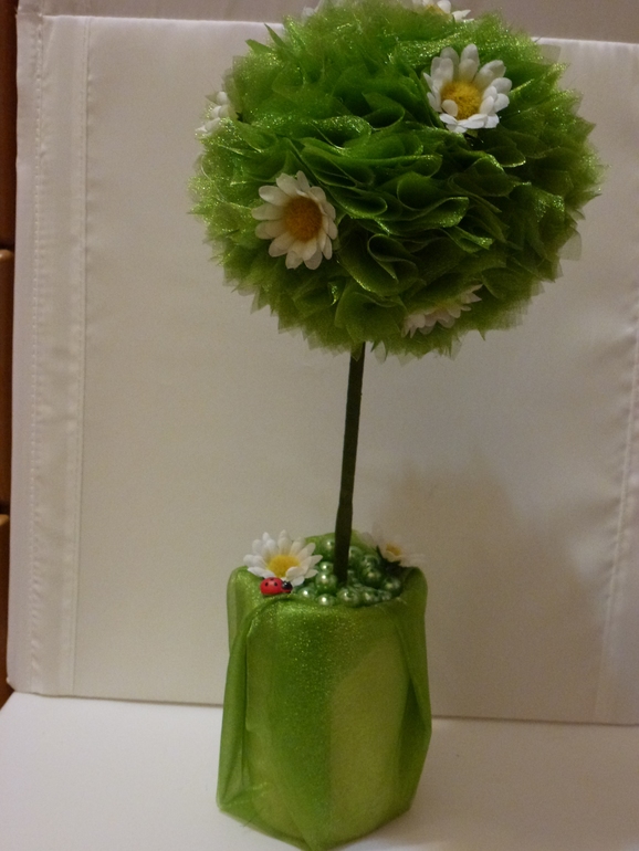 Мои первые топиарии