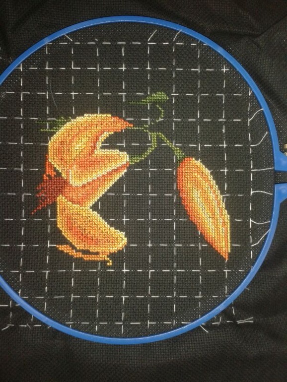 "Оранжевый дуэт" готов!!!