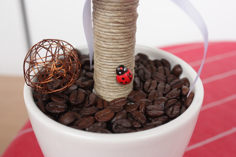 Кофейное дерево для Леночки