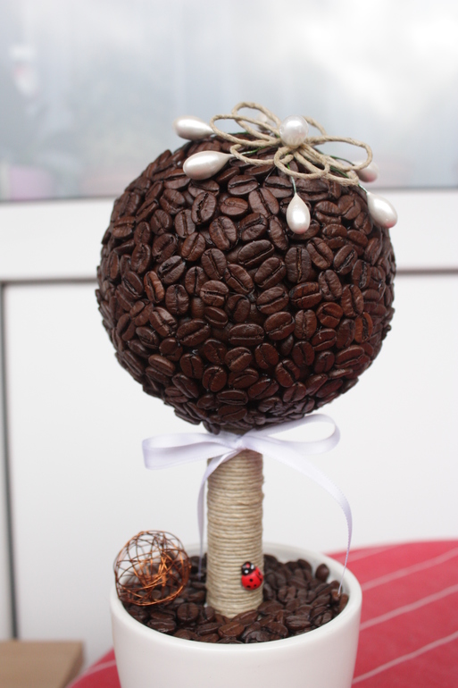 Кофейное дерево для Леночки