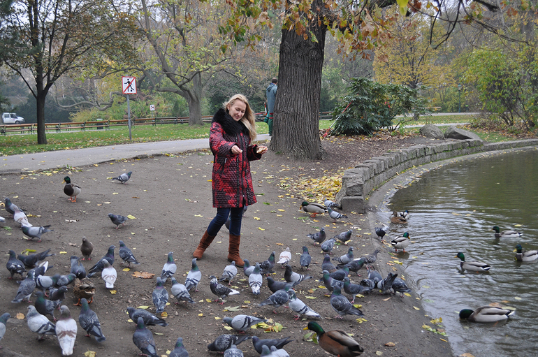 Вена... волшебная Вена!