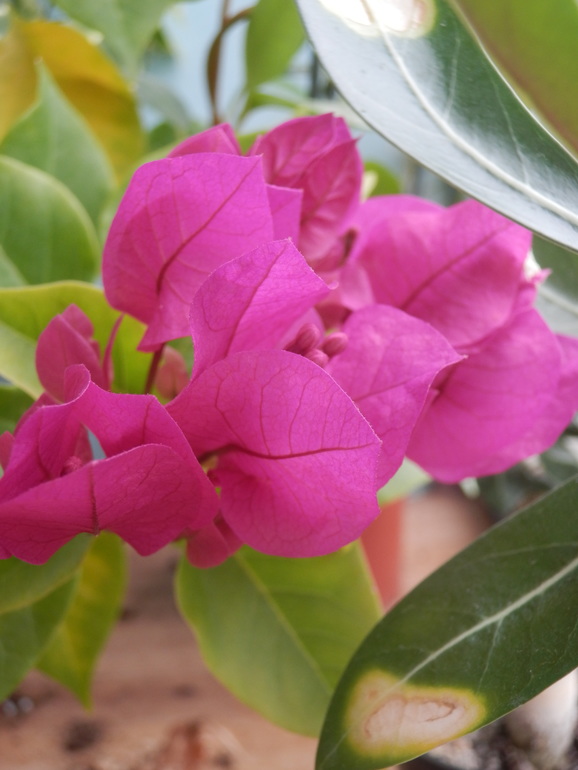 Итоги лета. Некоторые из моих любимчиков.