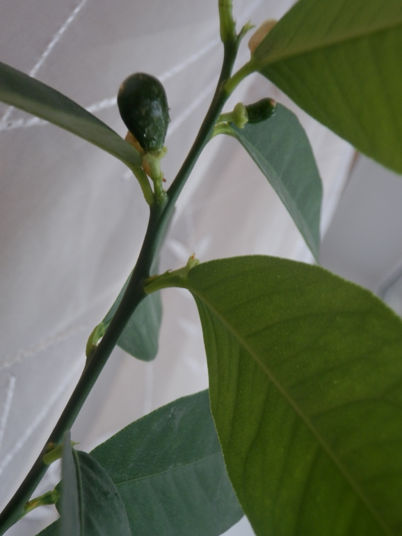 Немного осеннего.