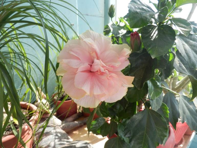 Итоги лета. Некоторые из моих любимчиков.